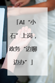 AI“小石”上岗，政务“边聊边办”