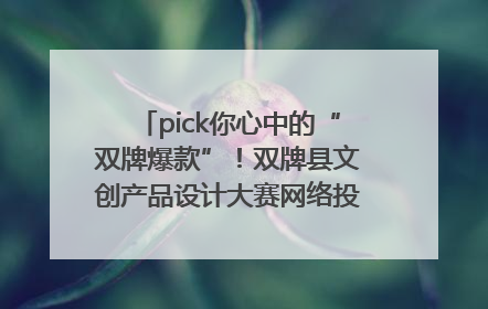 pick你心中的“双牌爆款”！双牌县文创产品设计大赛网络投票评选火热进行中
